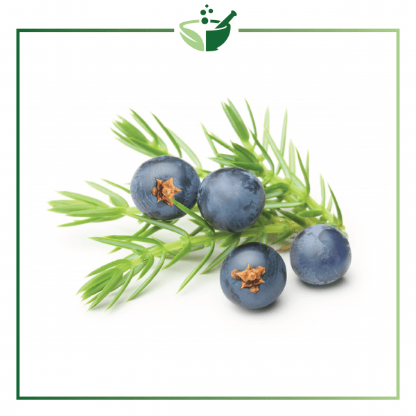 Juniper Berry Essential Oil-01